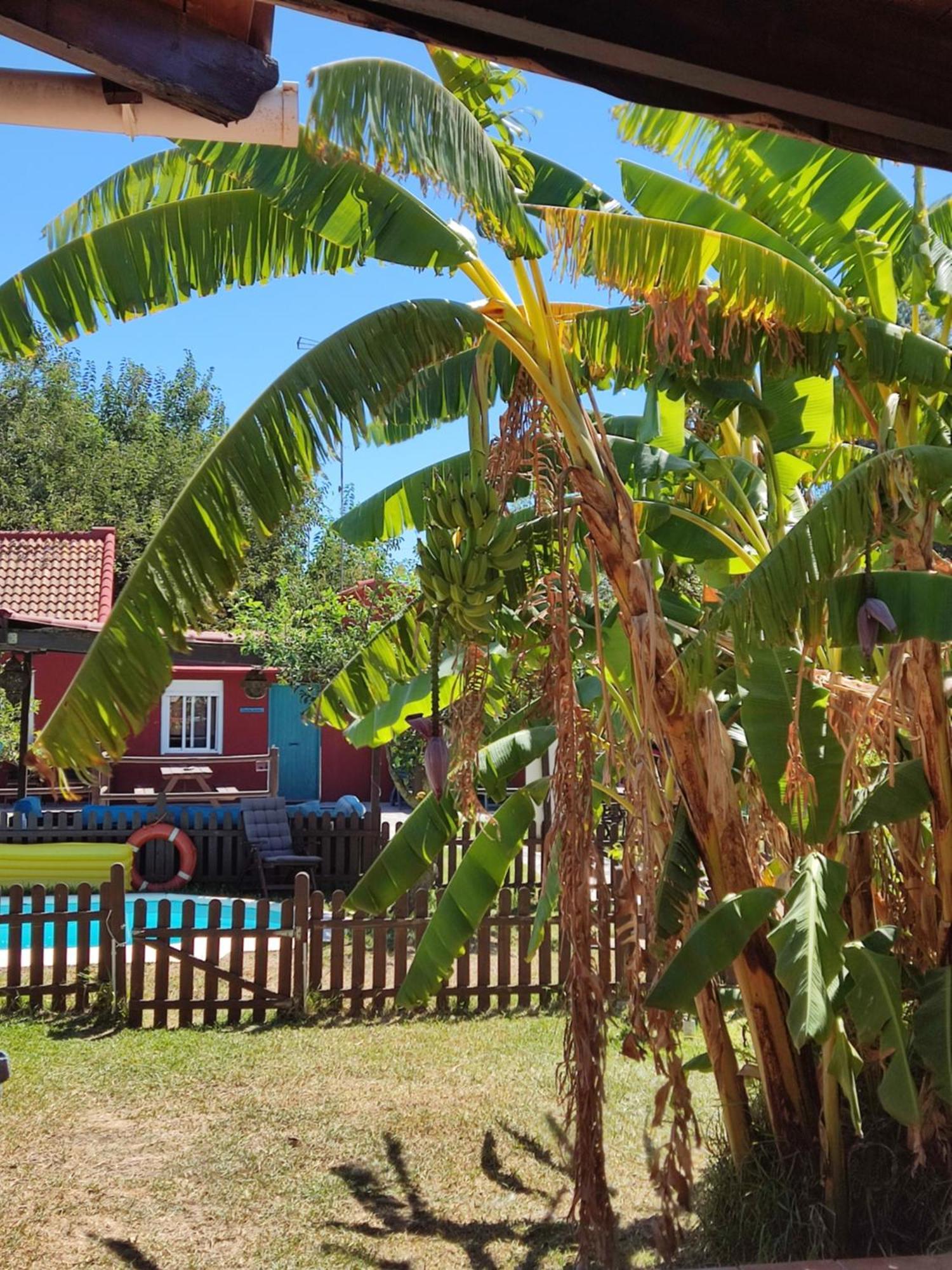 Gasthaus Karma House Casares Exterior foto